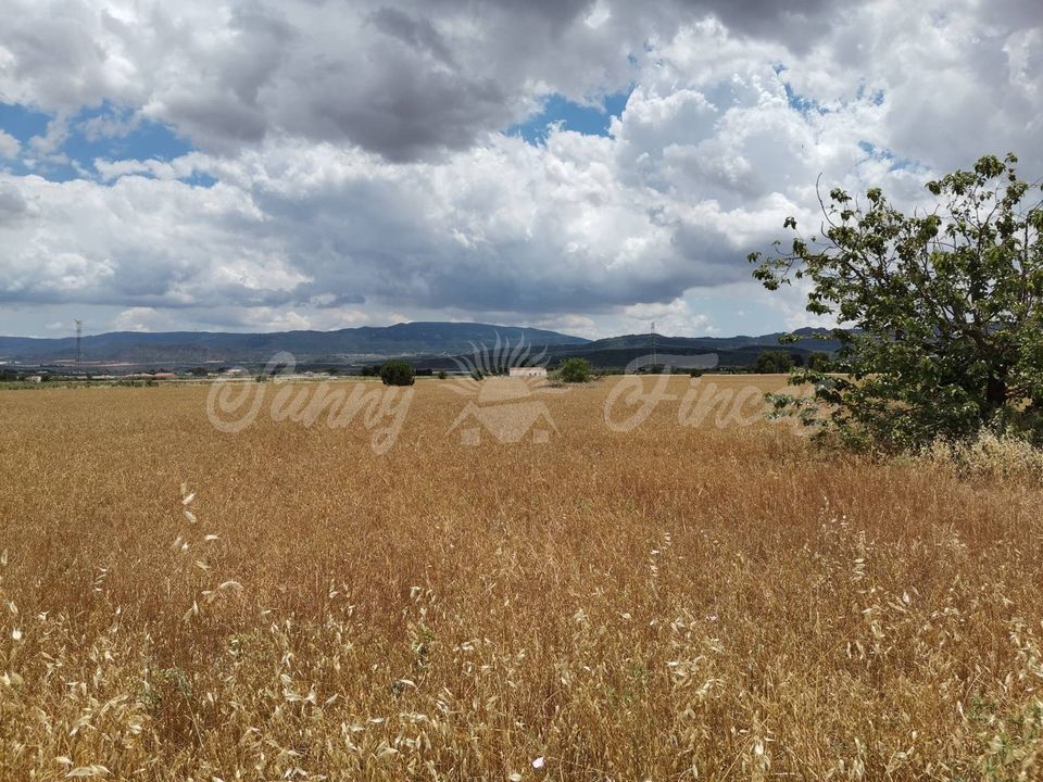 Helårsgrund i Yecla, Murcia - foto 3
